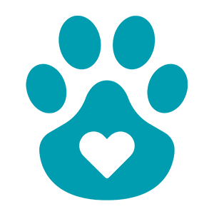 Comfort-Focused Care icon